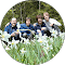 http://Slide%20Image